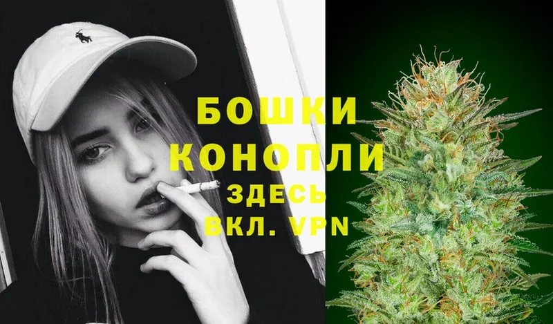 Шишки марихуана Ganja  Беломорск 